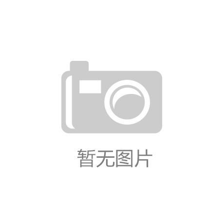 从“互联网+”到“AI+”——乌镇峰会共话人为智能新起色