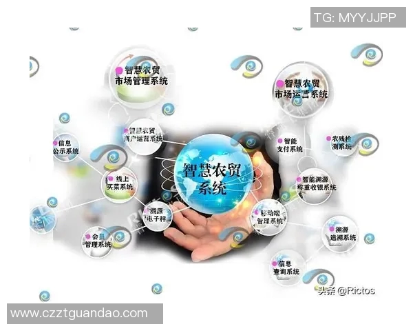 深入分析BLG在王者荣耀中的运营策略与市场表现